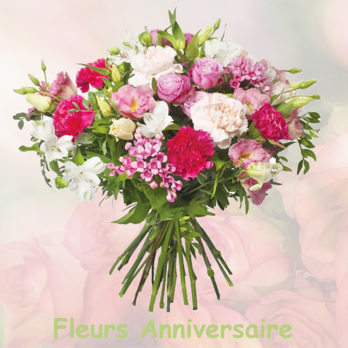 fleurs anniversaire RUISSEAUVILLE